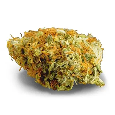 OG Kush > Royal Queen Seeds | Feminisierte Hanfsamen  |  Indica